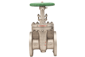 Gate, Globe & Check Valves - Stainless Steel & High Alloy