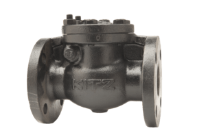 Specialty & Severe Service Valves